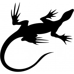 Stickers Lézards 3