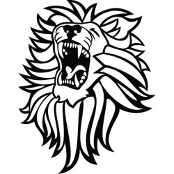 Stickers Lions 5